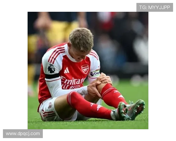 厄德高国家队关键战表现解析