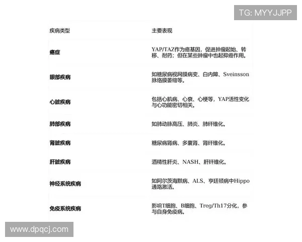 多特蒙德战术失衡与更衣室动荡，当前阶段局面变化对赛季争冠形势产生影响