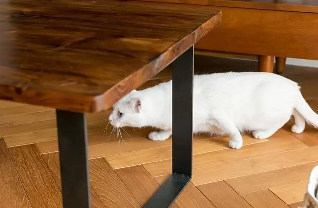 米兰(milan)中国官方网站